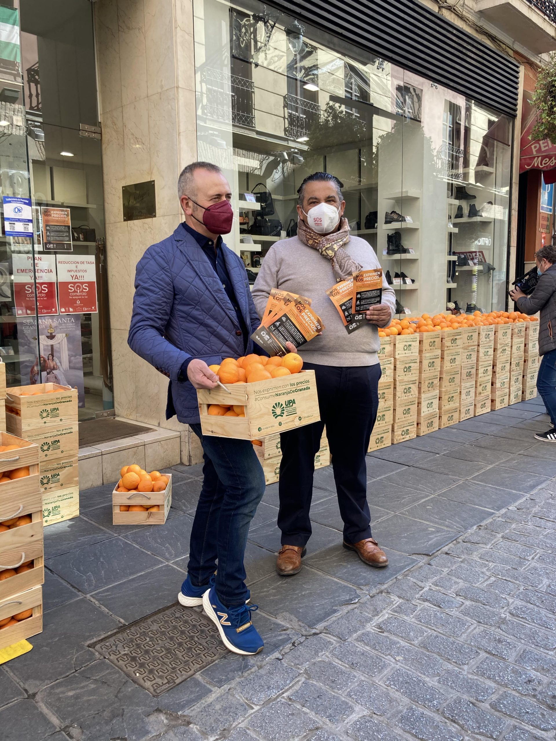 UPA Granada denuncia los bajos precios de los citricultores granadinos