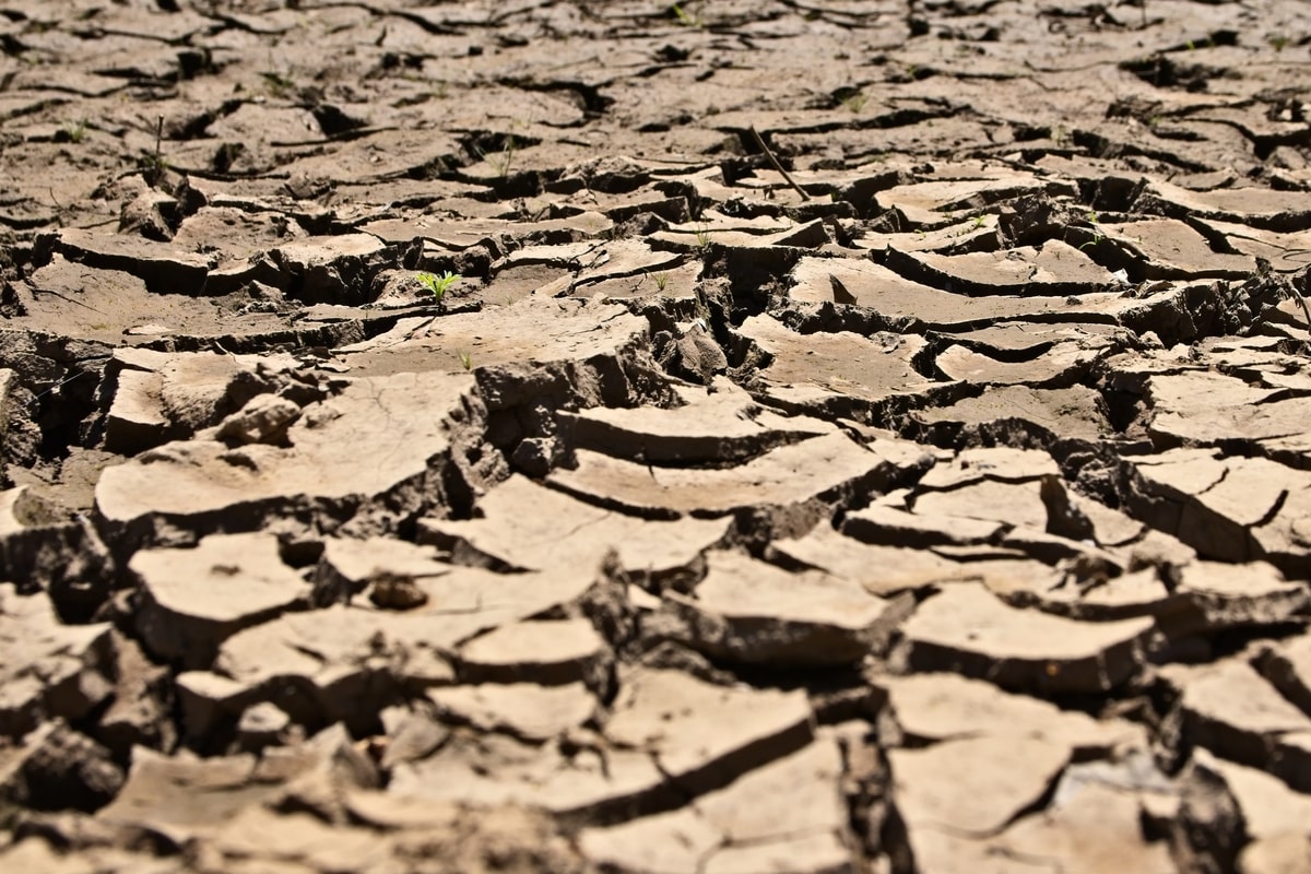 Movilizaciones si la administraciones no conceden ayudas para los ganaderos afectados por la sequía