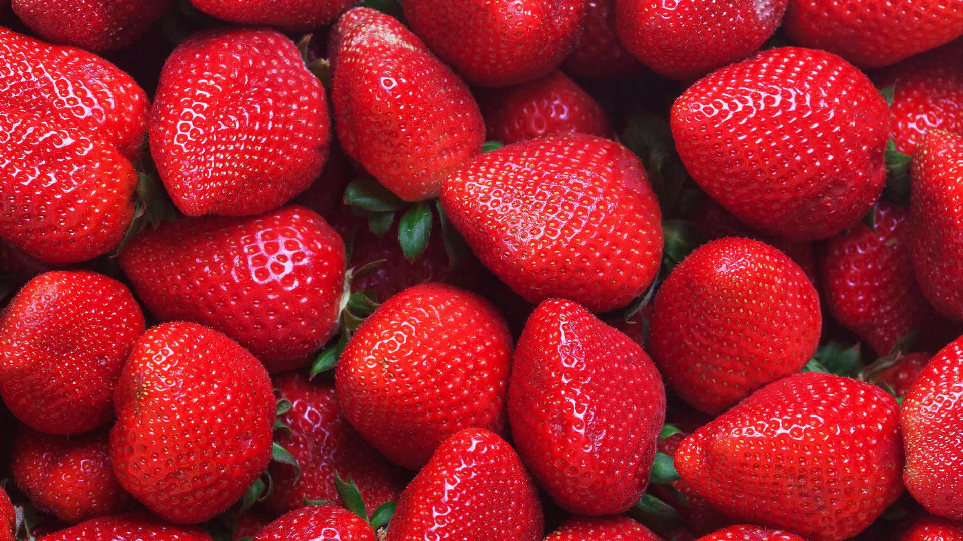 Las autoridades europeas denuncian la segunda detección de fresas de Marruecos con hepatitis A en apenas nueve días